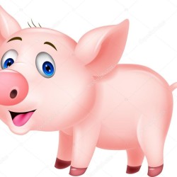 depositphotos_23939101-Cute-baby-pig-cartoon