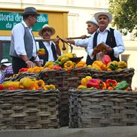 Festival delle sagre 2017