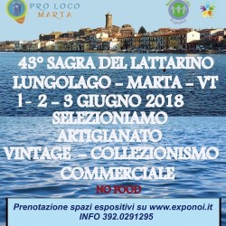 marta_lattarino_giugno_2018_mid_1