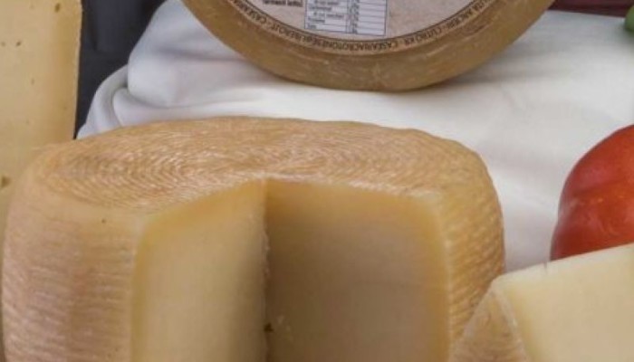 pecorino-semiduro-crotonese (1)